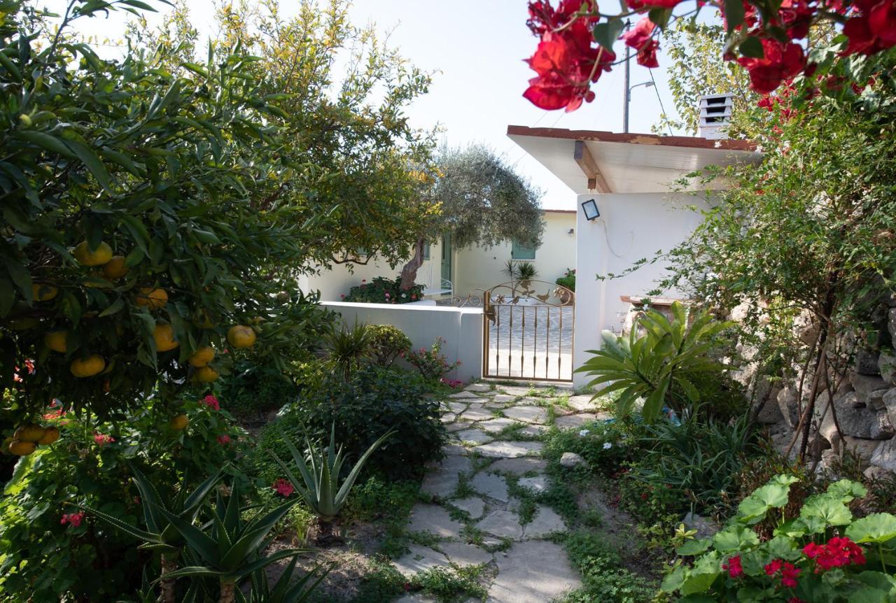 Arhondia House Βίλα Ιεράπετρα Εξωτερικό φωτογραφία