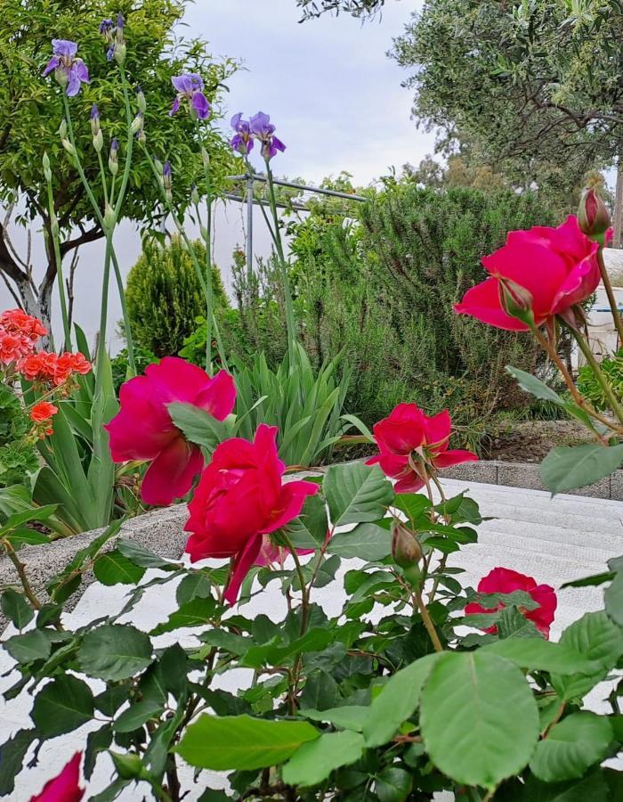 Arhondia House Βίλα Ιεράπετρα Εξωτερικό φωτογραφία