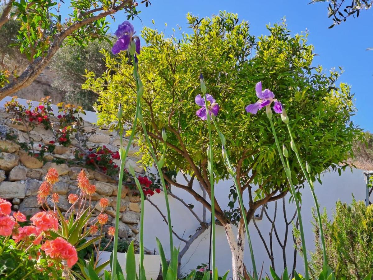 Arhondia House Βίλα Ιεράπετρα Εξωτερικό φωτογραφία
